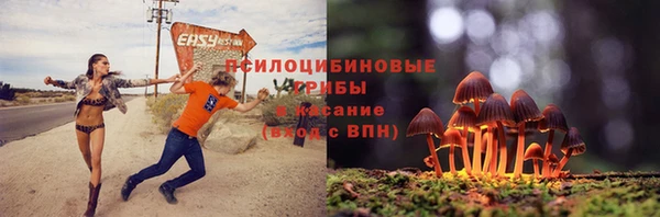 прущие крисы Абинск