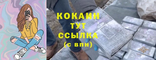 стафф Покачи